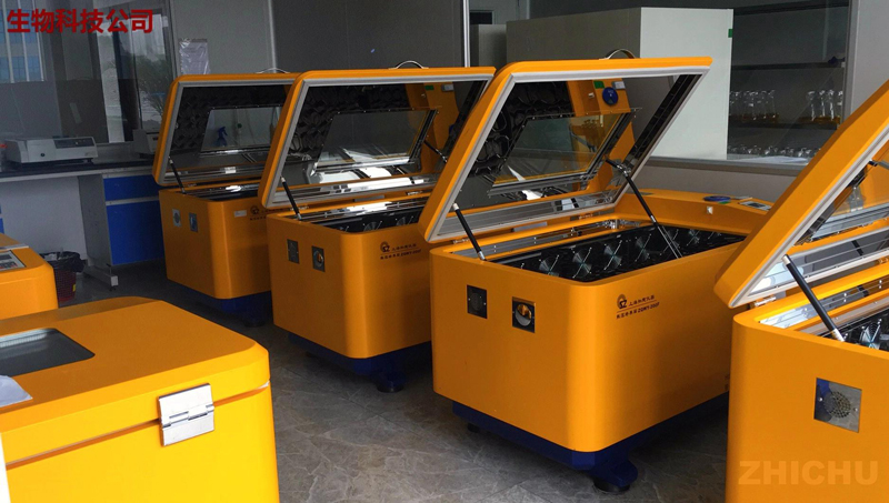 Constant Temperature Shaking Incubator For Microorganism Cultivation