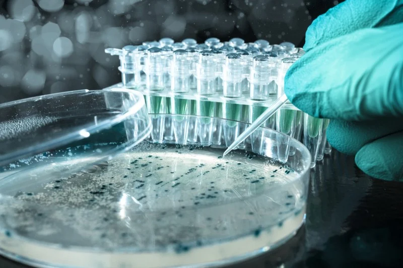Precision Laboratory Instruments in Biotechnology Precision Laboratory Instruments in Biotechnology